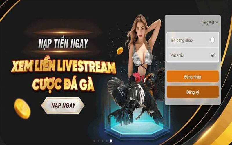 Phương thức giao dịch của Câu lạc bộ Fm88 - Fm88